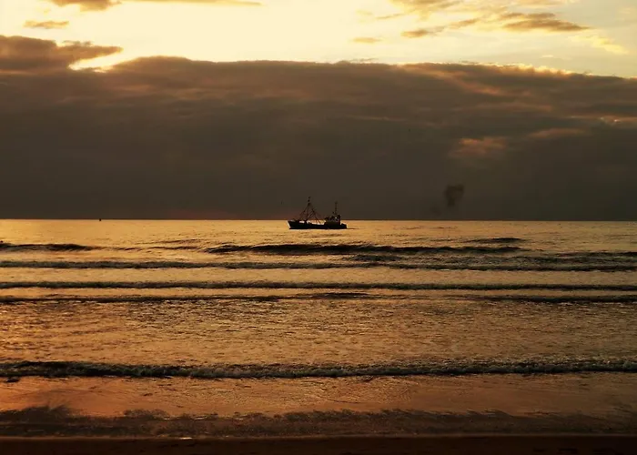 Ellouda オステンド